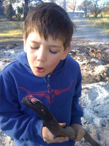 ... for baking mud pies, jumping in puddles, painting faces and trying out the latest in bicycle manoeuvres. We had the perfect lavender bush where fairies ... - IMG_1837-225x300