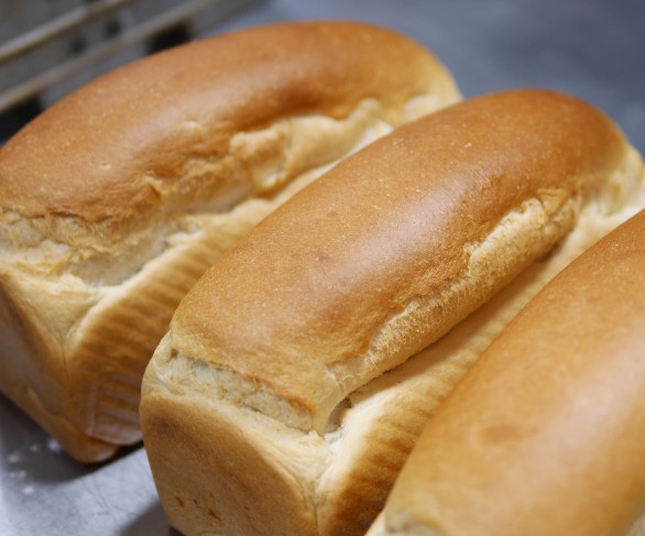 High top white loaves fresh from the oven