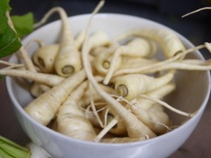 Home grown parsnips courtesy of Georgie Neal.