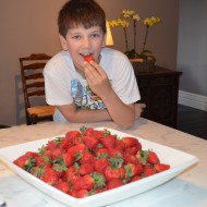 Strawberries 101