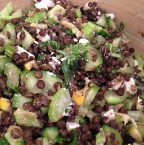 Kid Friendly Lentil Salad